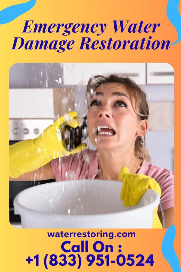 Emergency Water Damage Restoration in Blue Mound, IL