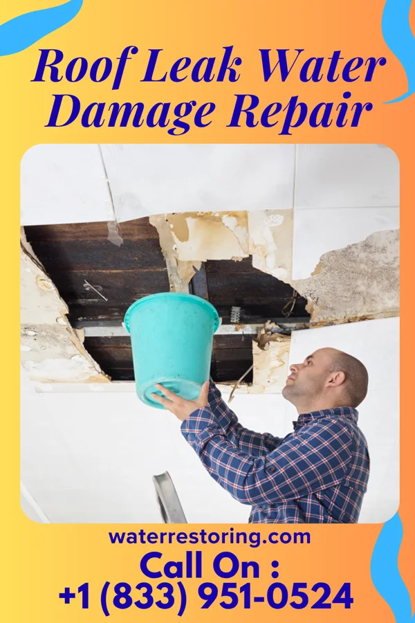 Roof Leak Water Damage Repair in Blue Mound, IL